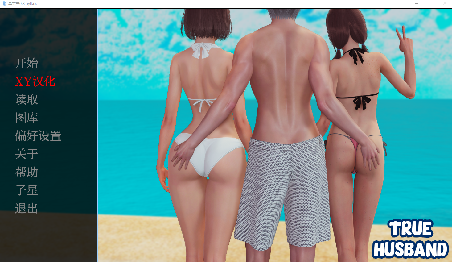 真丈夫 真正的丈夫 True Husband v0.8 电脑/安卓汉化版 SLG游戏 2.4G_游戏社