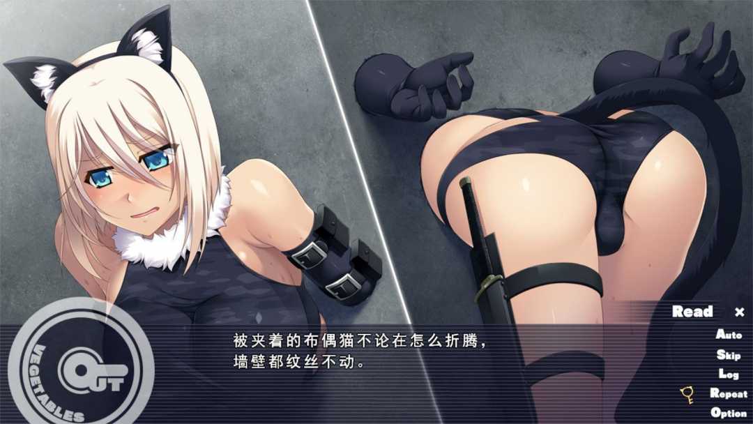 图片[3]-怪盗夜祭（Out Vegetables）完整汉化版 大型SLG&全CG存档+攻略-绅士ACGN