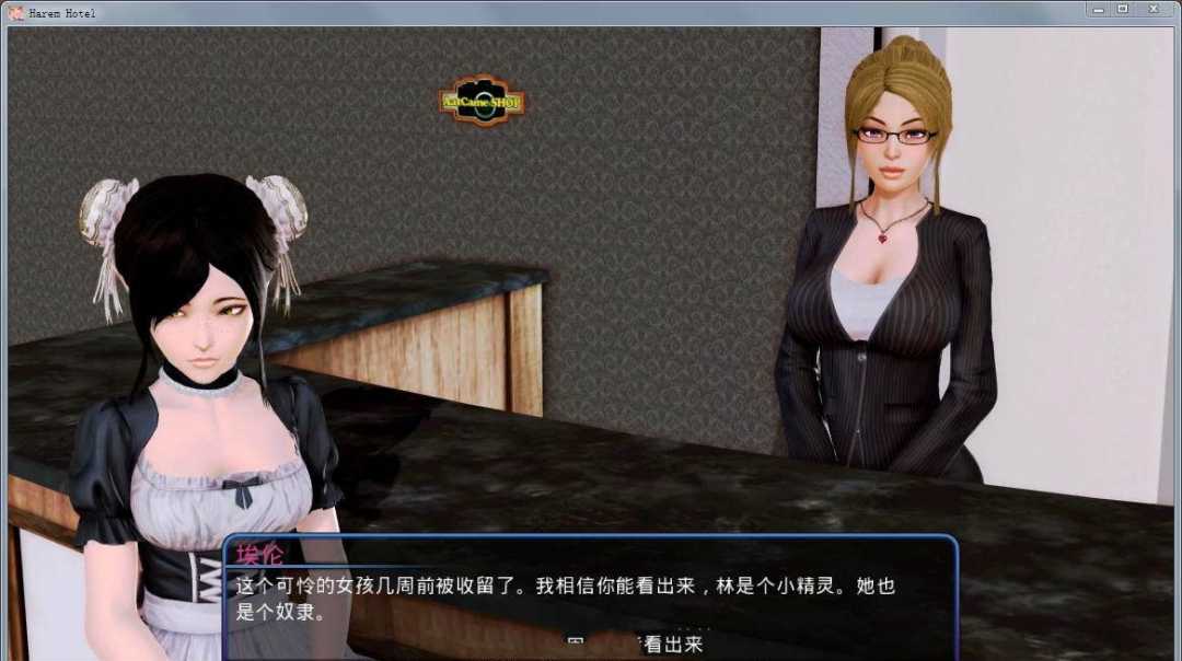 后宫大酒店 Ver0.92 中文汉化版 PC+安卓+全CG-绅士ACGN