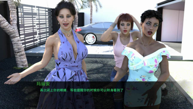 神秘之石 全五章 精翻汉化版 PC+安卓+全CG 13G-3