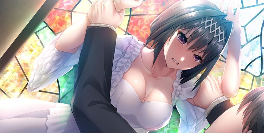 【电脑/2D/ADV/汉化】中文】 TO·RA·WA·SE ～被囚禁的假王妃梦见的初夜～ AI汉化版【1.3G】_游戏社